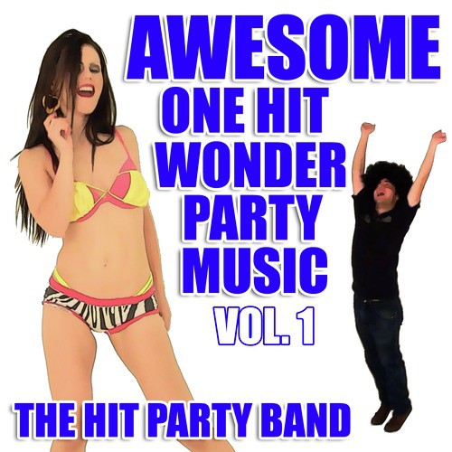 Awesome One Hit Wonder Party Music Vol. 1