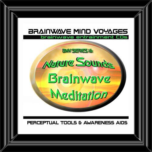 Brainwave Ocean cover art