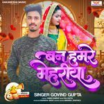 Bana Hamare Mehariya