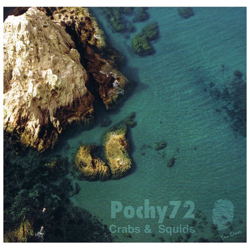 Where You Going? Squid cover art