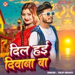 Dil Hai Diwana Ba