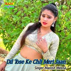 Dil Tose Ke Chli Meri Jaan-JAYIWSUFBh4