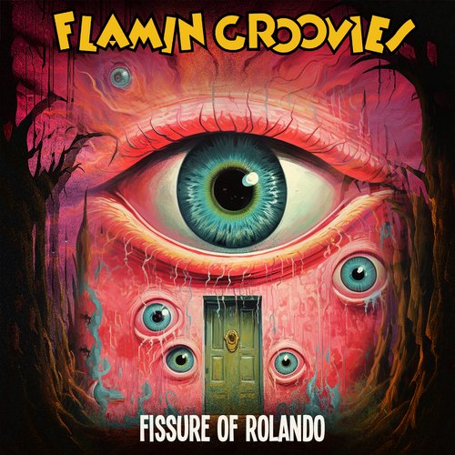 Fissure Of Rolando_poster_image