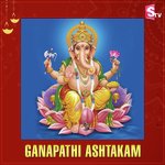 Ganapathi Ashtakam