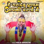 He gurudev pranam aapki charno me