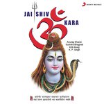 Om Namah Shivay (Shiv Bhajan)