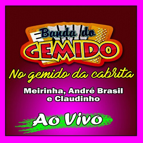 Ela grita olha o gás - BANDA DO GEMIDO cover art