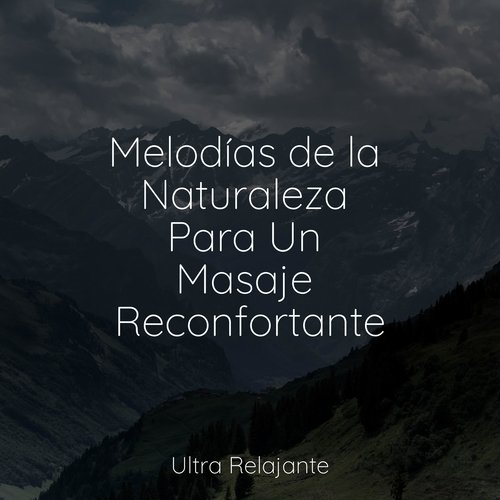 Melodías de la Naturaleza Para Un Masaje Reconfortante_poster_image