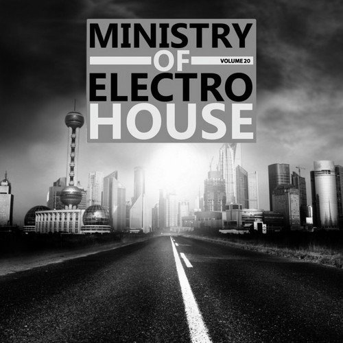 Ministry of Electro House, Vol. 20