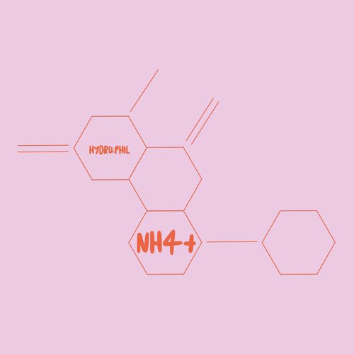 NH4+ cover art