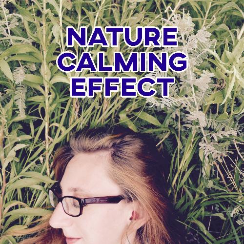 Meditation Therapy cover art