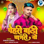 Pehari Bandi Ghagri Vo