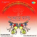 Bisarjan   Instrumental