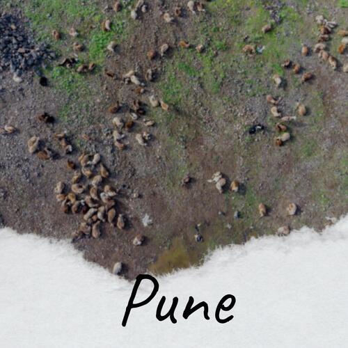Pune cover art