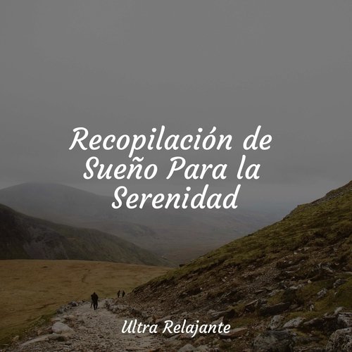 Sonido Relajante cover art