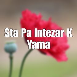 Sta Pa Intezar K Yama