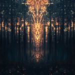 Sunshine Within (Forest)