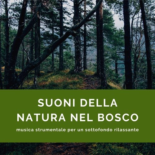 Rilassamento senza fine cover art