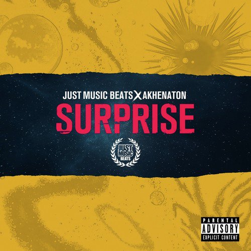 Surprise cover art