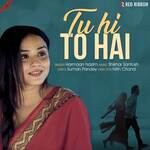 Tu Hi To Hai