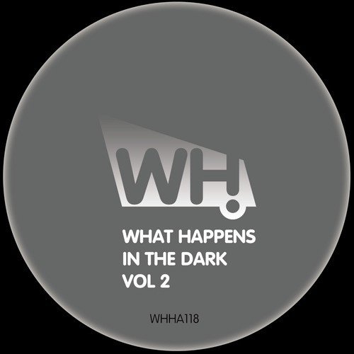 What Happens in the Dark Vol 2