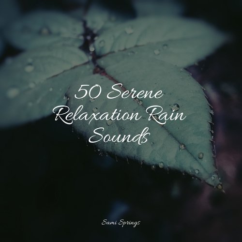 50 Serene Relaxation Rain Sounds_poster_image