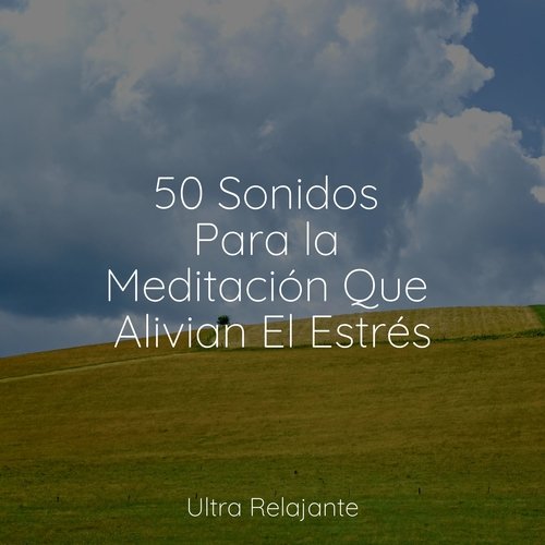 50 Sonidos Para la Meditación Que Alivian El Estrés_poster_image