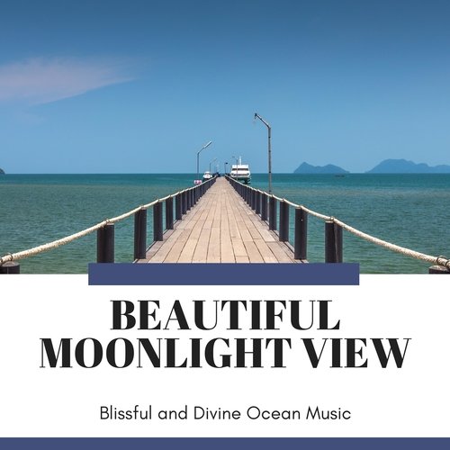 Birds at Oceanic Heaven cover art