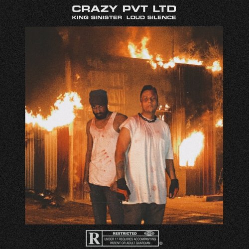CRAZY PVT LTD (feat. Demixx)