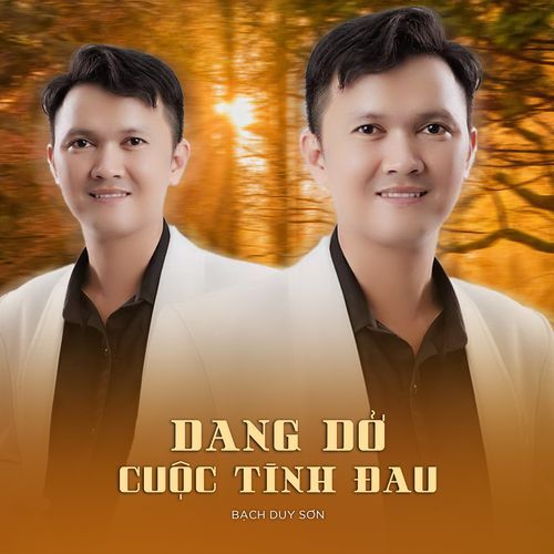 Dang Dở Cuộc Tình Đau_poster_image