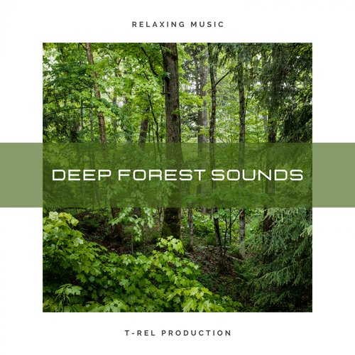 Deep Forest Sounds