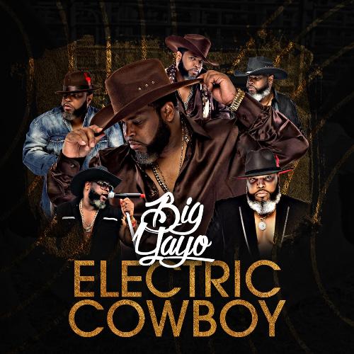 Electric Cowboy_poster_image