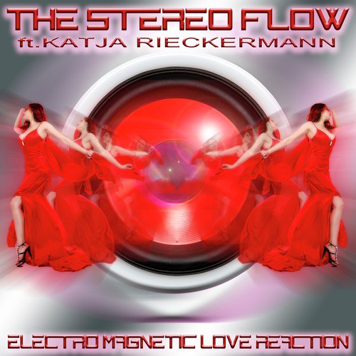 The Stereo Flow