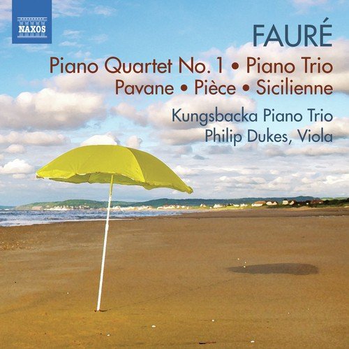 Piano Quartet No. 1 in C Minor, Op. 15: I. Allegro molto moderato