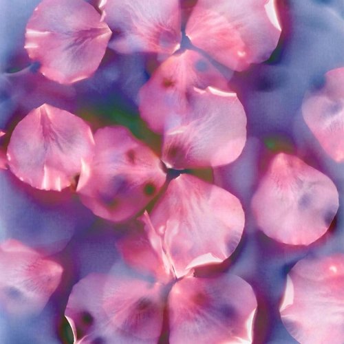 For Your Eyes Only / Hera cover art