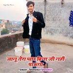 Jaanu Tere Bina ji Nhi Paunga