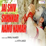 Jai Shiv Shankar Namo Namah