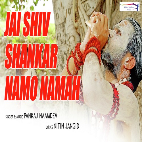 Jai Shiv Shankar Namo Namah