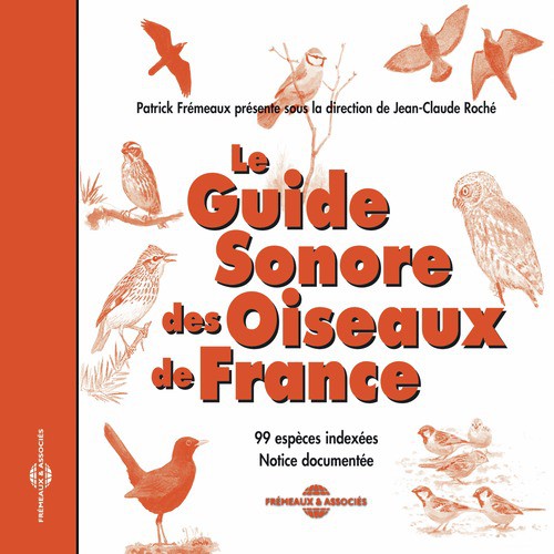 Vanneau Huppé Song Download Le Guide Sonore Des Oiseaux De