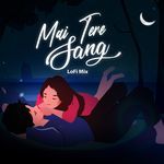 Mai Tere Sang - Lofi Mix