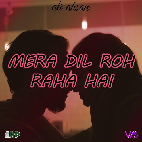 Mera Dil Roh Raha Hai 2.0