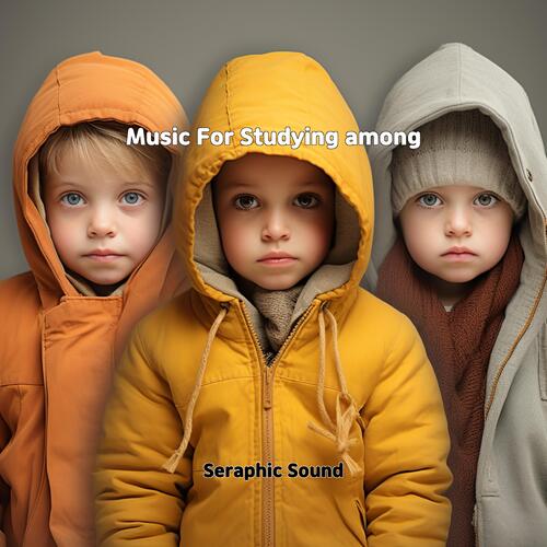 Beats Studio Pro at cover art