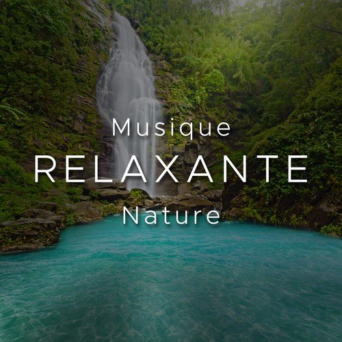 Musique Zen Garden cover art