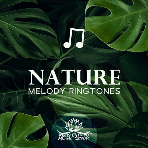 Nature Melody Ringtones: Birds, Rain, Ocean Waves Sounds (Tounge Drums, Kalimba, Piano, Bells, Guitar Instrumental Music)_poster_image