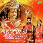 Naya Sari Ke Pandal