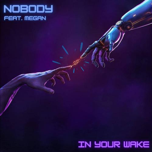 Nobody (feat. Megan)_poster_image