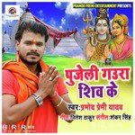 Pujeli Gaura Shiv Ke - Single