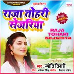 Raja Tohari Sejariya