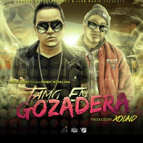 Tamo en Gozadera (feat. Randy Nota Loka)