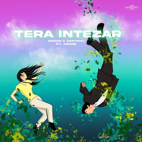 Tera Intezar
